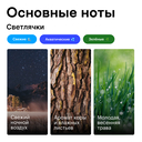 Парфюмерное масло унисекс 