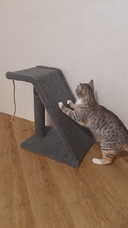 Когтеточка 