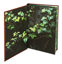 Библиотека теней — фото, картинка — 11