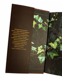 Библиотека теней — фото, картинка — 12