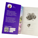 Ретроградная Венера — фото, картинка — 2