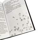 Порочная клятва — фото, картинка — 3