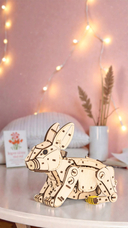 Сборная деревянная модель 