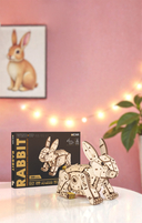 Сборная деревянная модель 