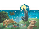 В лесу. Книжки с окошками — фото, картинка — 2