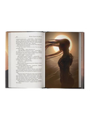 Дюна — фото, картинка — 4