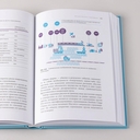 Разумное страхование: актуальные рыночные практики — фото, картинка — 8