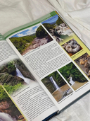 Северный Кавказ. Уникальная Россия — фото, картинка — 3