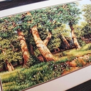 Набор для вышивания 