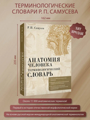 Анатомия человека. Терминологический словарь — фото, картинка — 1