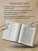 Анатомия человека. Терминологический словарь — фото, картинка — 2