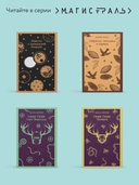 Дамы тайного цирка — фото, картинка — 5