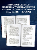 Красавица — фото, картинка — 2