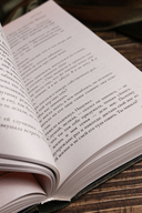 Дитя Чумного края — фото, картинка — 6