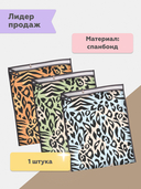 Чехол для обуви 