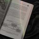 Будда прав, а Фрейд – нет — фото, картинка — 7