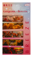 Набор магнитных закладок 