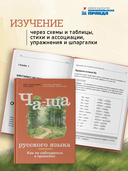 Ча-ща русского языка. Как не заблудиться в правилах — фото, картинка — 1