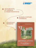 Ча-ща русского языка. Как не заблудиться в правилах — фото, картинка — 3