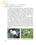 Рассказы о животных Красной книги Республики Беларусь — фото, картинка — 1