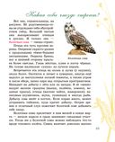Рассказы о животных Красной книги Республики Беларусь — фото, картинка — 2