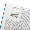 Ветер крепчает — фото, картинка — 4