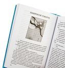 Ветер крепчает — фото, картинка — 6