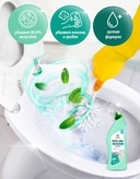 Гель для чистки ванны и туалета 