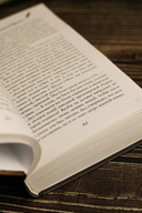 Запрещенные книги в Берлине — фото, картинка — 7