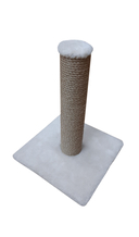 Когтеточка 