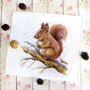 Набор для вышивания 