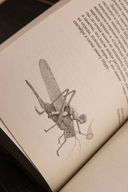 Собрание сочинений. Том 10. 2020-2022 — фото, картинка — 11