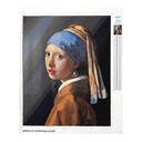 Алмазная вышивка-мозаика 