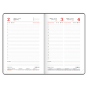 Ежедневник датированный на 2026 год 