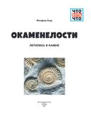 ОКАМЕНЕЛОСТИ. Летопись в камне — фото, картинка — 1