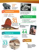 ОКАМЕНЕЛОСТИ. Летопись в камне — фото, картинка — 3