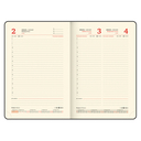 Ежедневник датированный на 2026 год  Ежедневник датированный на 2026 год