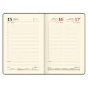 Ежедневник датированный на 2026 год  Ежедневник датированный на 2026 год