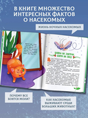 Тайная жизнь насекомых — фото, картинка — 2