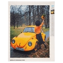 Алмазная вышивка-мозаика 