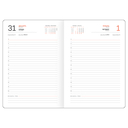 Ежедневник датированный на 2026 