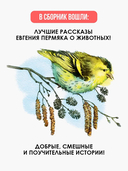 Знакомые следы — фото, картинка — 2