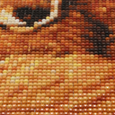 Алмазная вышивка-мозаика 