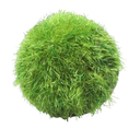 Набор украшений декоративных 