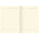 Ежедневник недатированный  Ежедневник недатированный