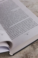 Корсары Николая Первого. Путь домой — фото, картинка — 4