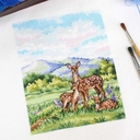 Набор для вышивания 