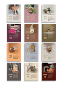 Календарь настольный на 2026 год 