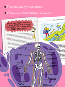 Реальная биология. Как устроено тело человека — фото, картинка — 3