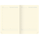 Ежедневник недатированный 